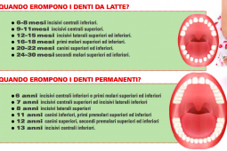 Denti da Latte - Denti Permanenti